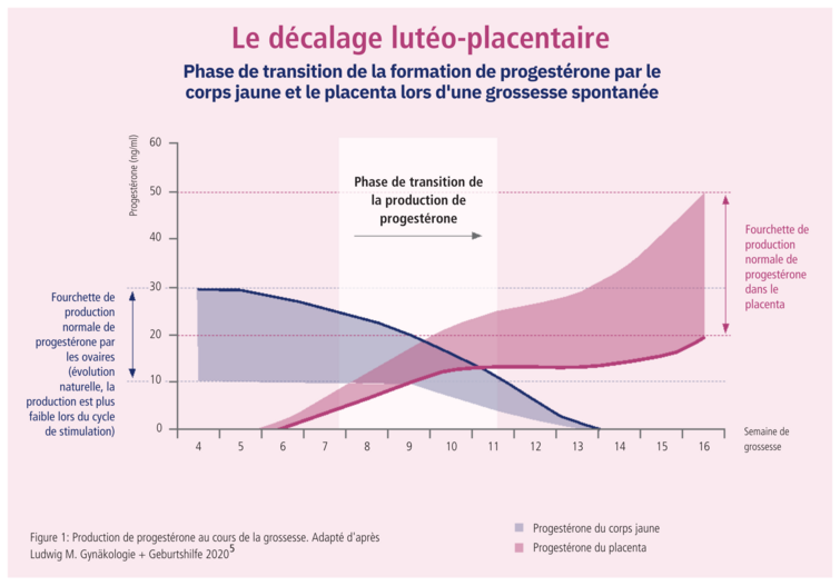 schema verschiebung luteo