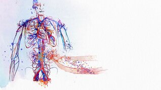 ANCA-assoziierte Vaskulitis